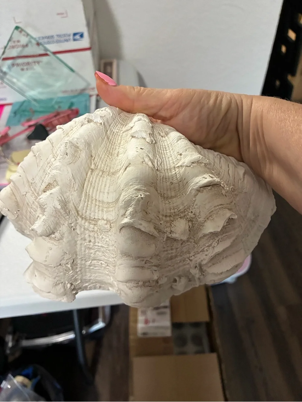 White Shell-Shaped Decorative Accent Bowl - Coastal Home Accent
